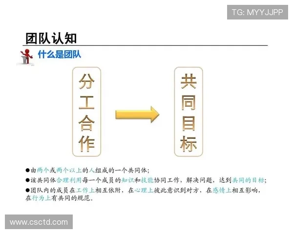 武汉足球队意识对比分析:从战术思维到团队协作的深度剖析 武汉足球队意识对比分析:从战术思维到团队协作的深度剖析
