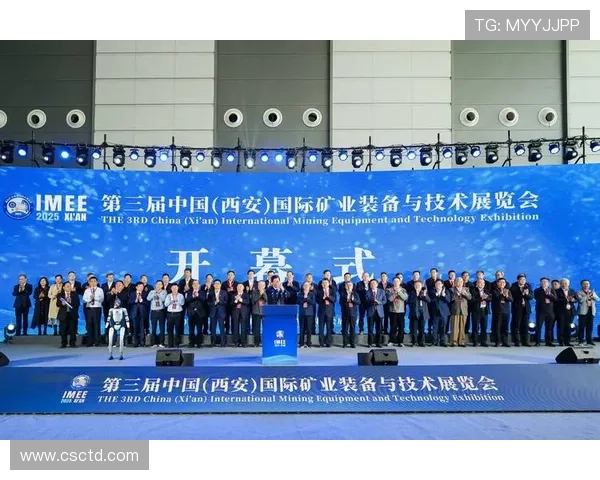 西安羽毛球队精英赛表现分析团队协作的重要性与亮点 西安羽毛球队精英赛表现分析团队协作的重要性与亮点